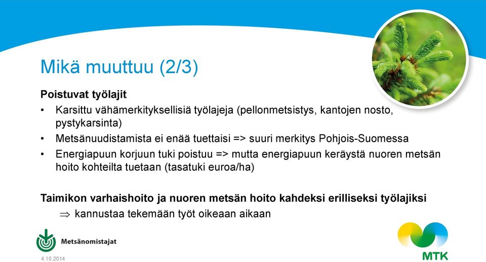 korjuun tuki poistuu => mutta energiapuun keräystä nuoren metsän hoito kohteilta tuetaan (tasatuki euroa/ha)