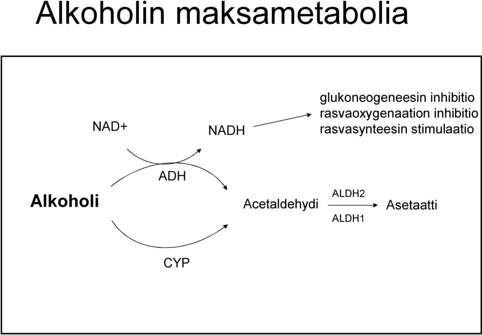 rasvaoxygenaation inhibitio