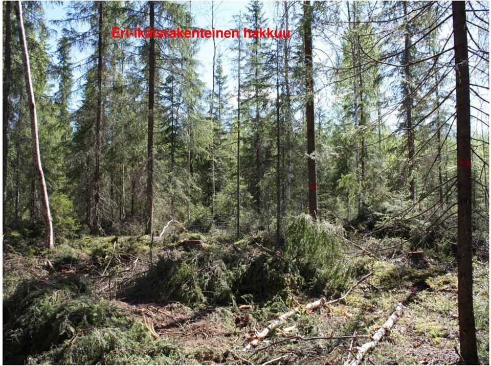 käytöstä 1308/2013 Maa- metsätalousministeriön asetus metsänkäyttöilmoituksesta