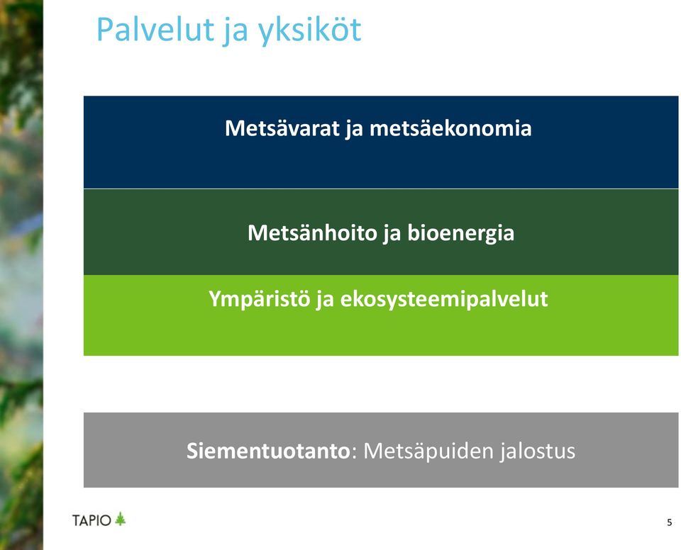 bioenergia Ympäristö ja