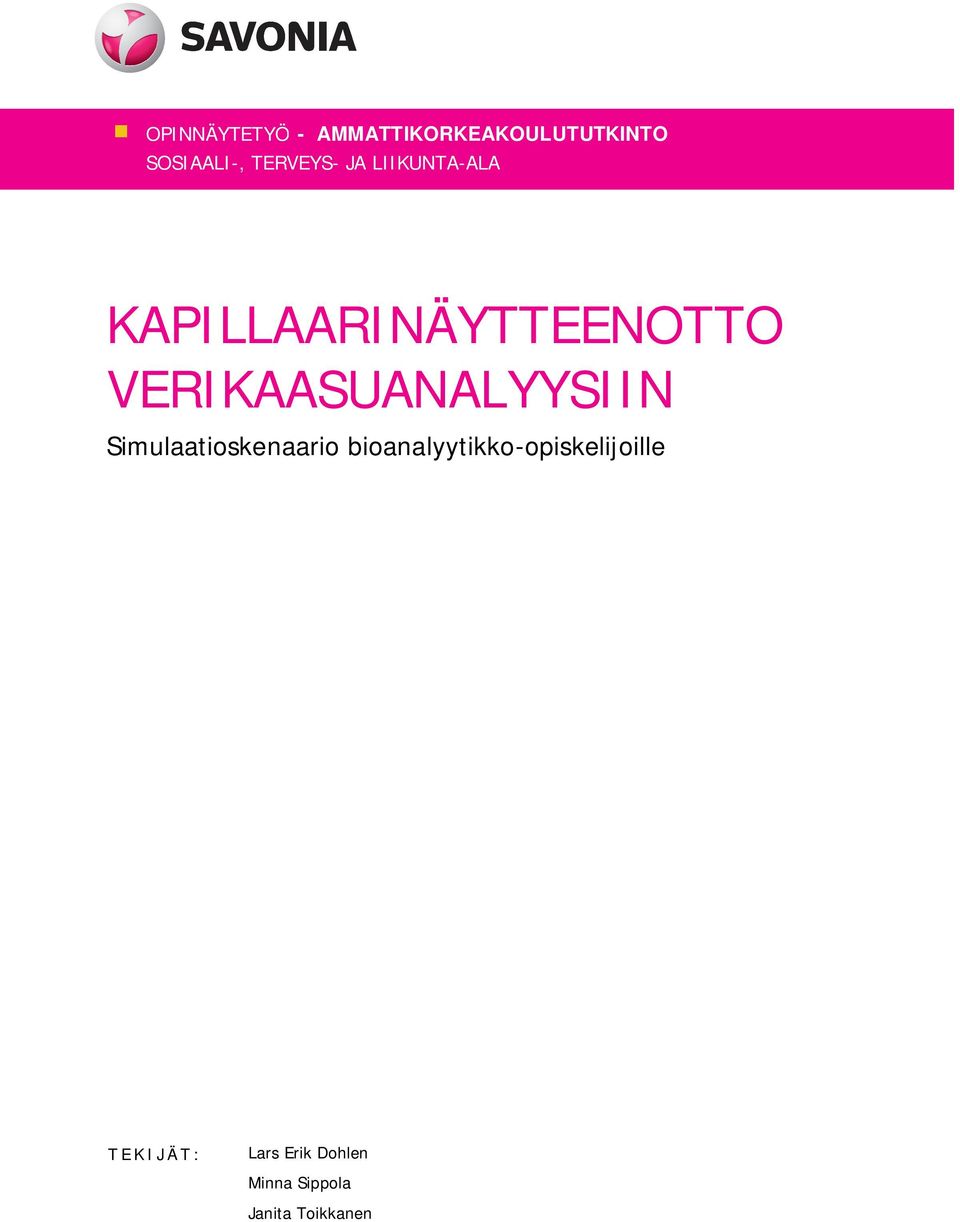 VERIKAASUANALYYSIIN Simulaatioskenaario