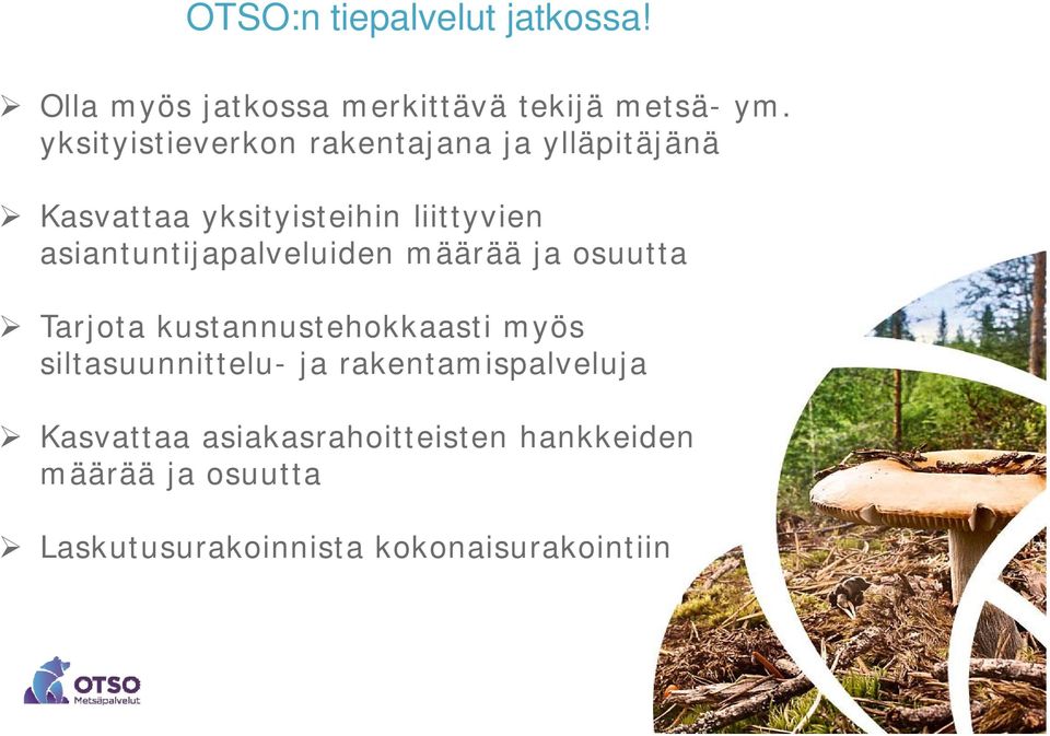 asiantuntijapalveluiden määrää ja osuutta Tarjota kustannustehokkaasti myös siltasuunnittelu-