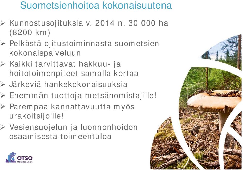 tarvittavat hakkuu- ja hoitotoimenpiteet samalla kertaa Järkeviä hankekokonaisuuksia