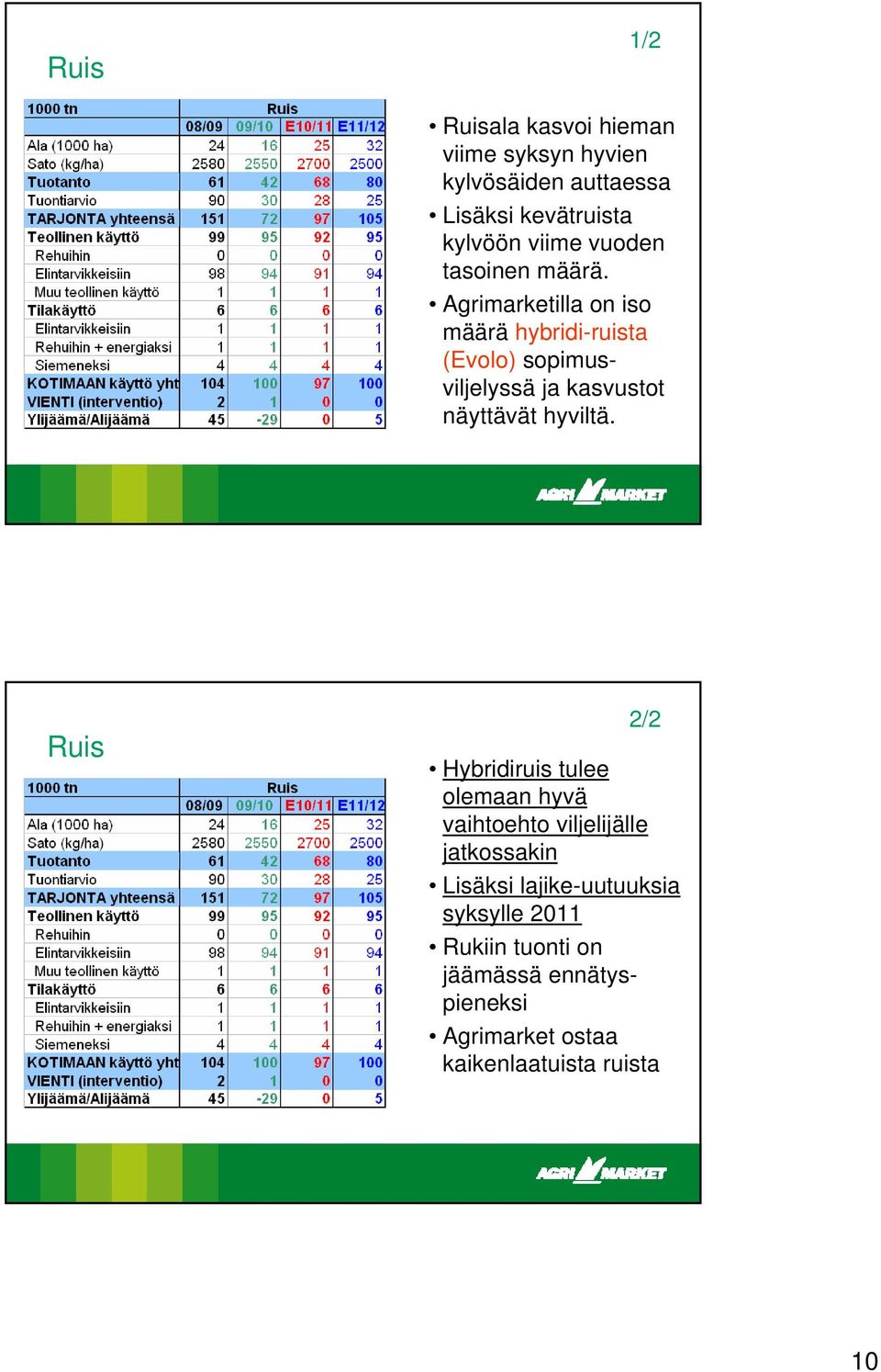 Agrimarketilla on iso määrä hybridi-ruista (Evolo) sopimusviljelyssä ja kasvustot näyttävät hyviltä.