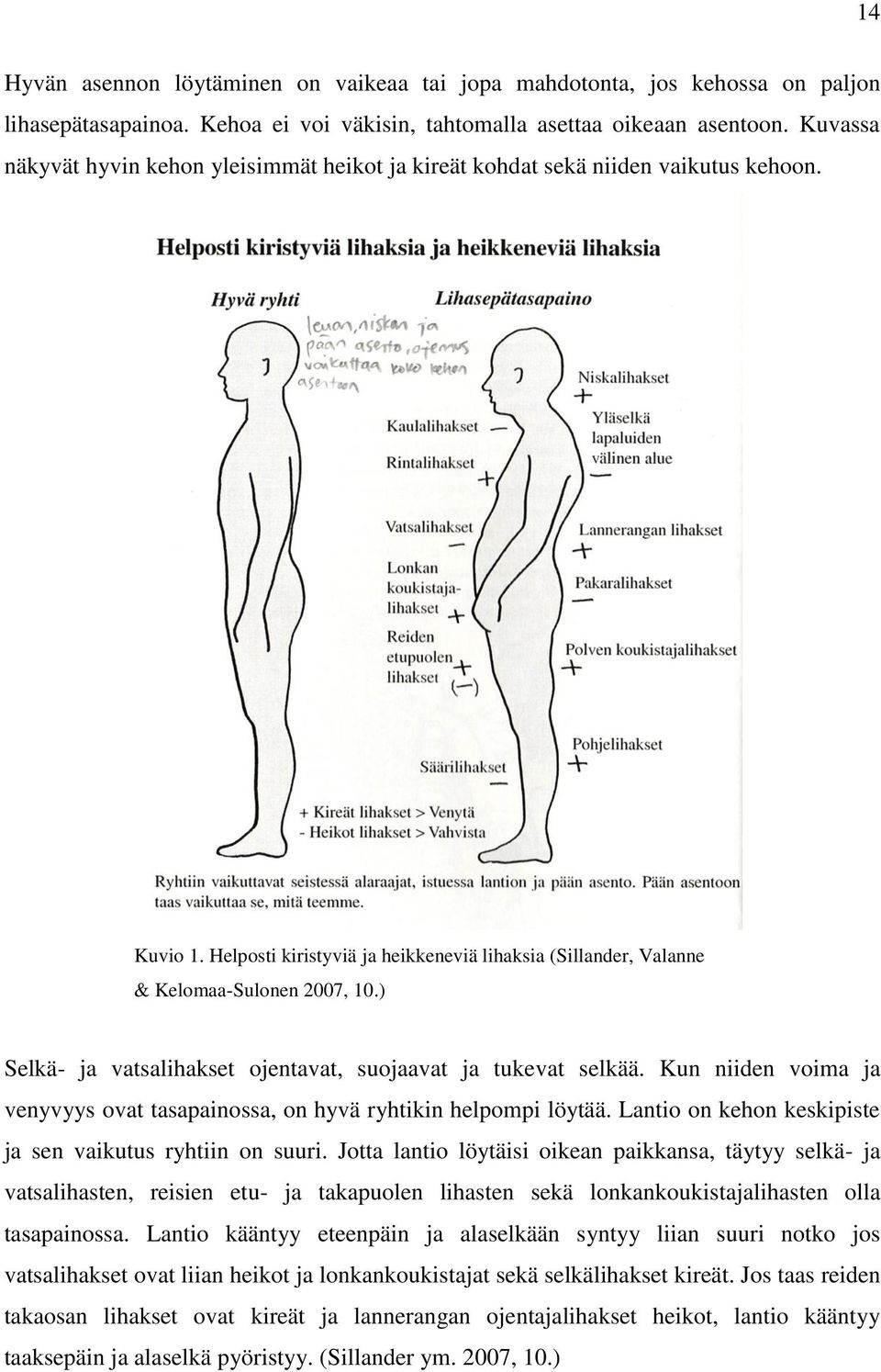 ) Selkä- ja vatsalihakset ojentavat, suojaavat ja tukevat selkää. Kun niiden voima ja venyvyys ovat tasapainossa, on hyvä ryhtikin helpompi löytää.