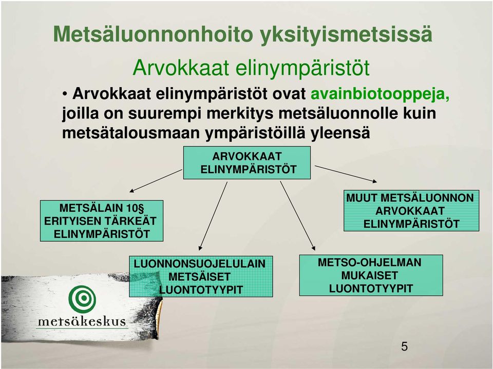 yleensä ARVOKKAAT ELINYMPÄRISTÖT METSÄLAIN 10 ERITYISEN TÄRKEÄT ELINYMPÄRISTÖT