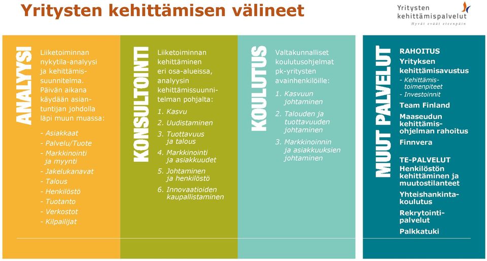 osa-alueissa, analyysin kehittämissuunnitelman pohjalta: 1. Kasvu 2. Uudistaminen 3. Tuottavuus ja talous 4. Markkinointi ja asiakkuudet 5. Johtaminen ja henkilöstö 6.