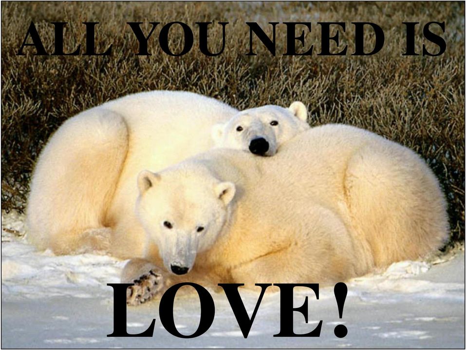 LOVE!