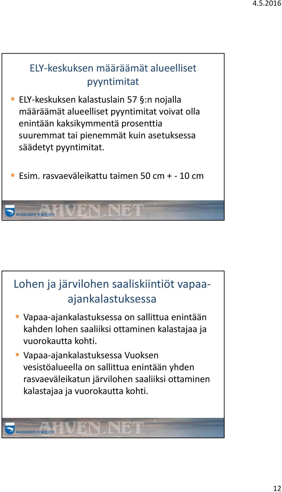 rasvaeväleikattu taimen 50 cm + 10 cm Lohen ja järvilohen saaliskiintiöt vapaaajankalastuksessa Vapaa ajankalastuksessa on sallittua enintään kahden lohen