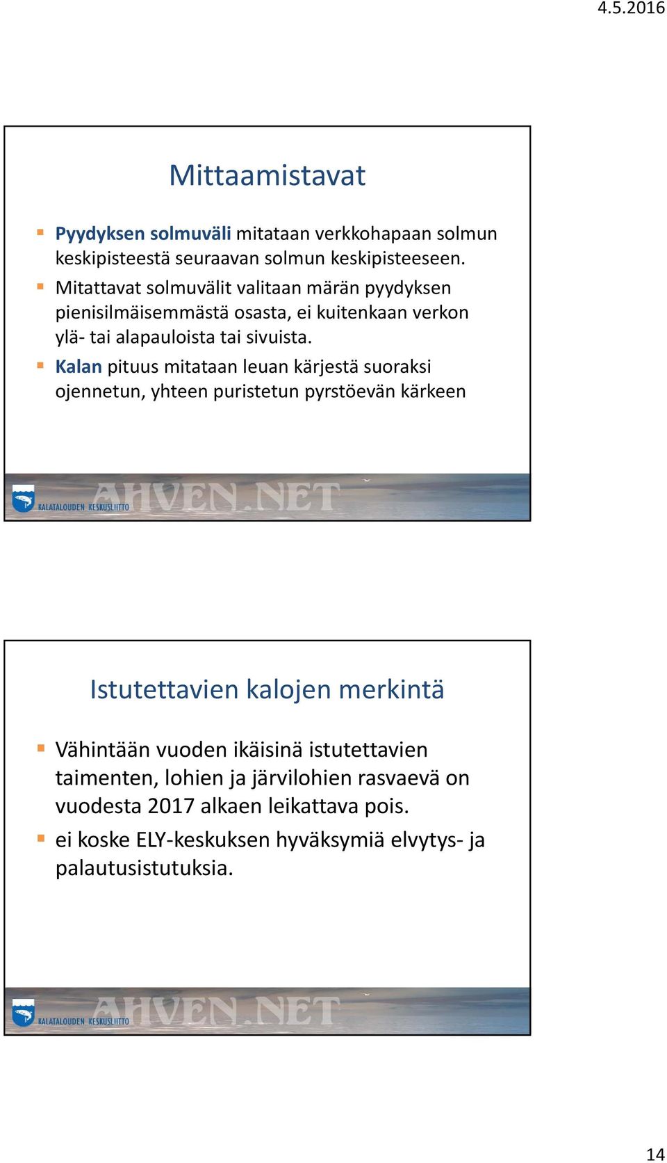 Kalan pituus mitataan leuan kärjestä suoraksi ojennetun, yhteen puristetun pyrstöevän kärkeen Istutettavien kalojen merkintä Vähintään