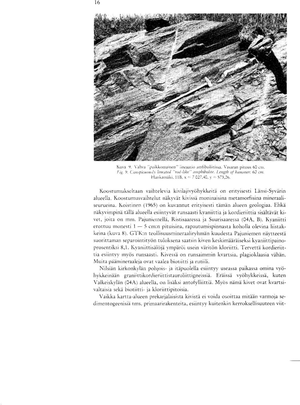 Koostumusvaihteiut nakvvat kivissa moninaisina nietaznorfisina mineraaliseurueina. Koistinen (1965) on kuvannut erityisesti Oman alueen geologiaa.