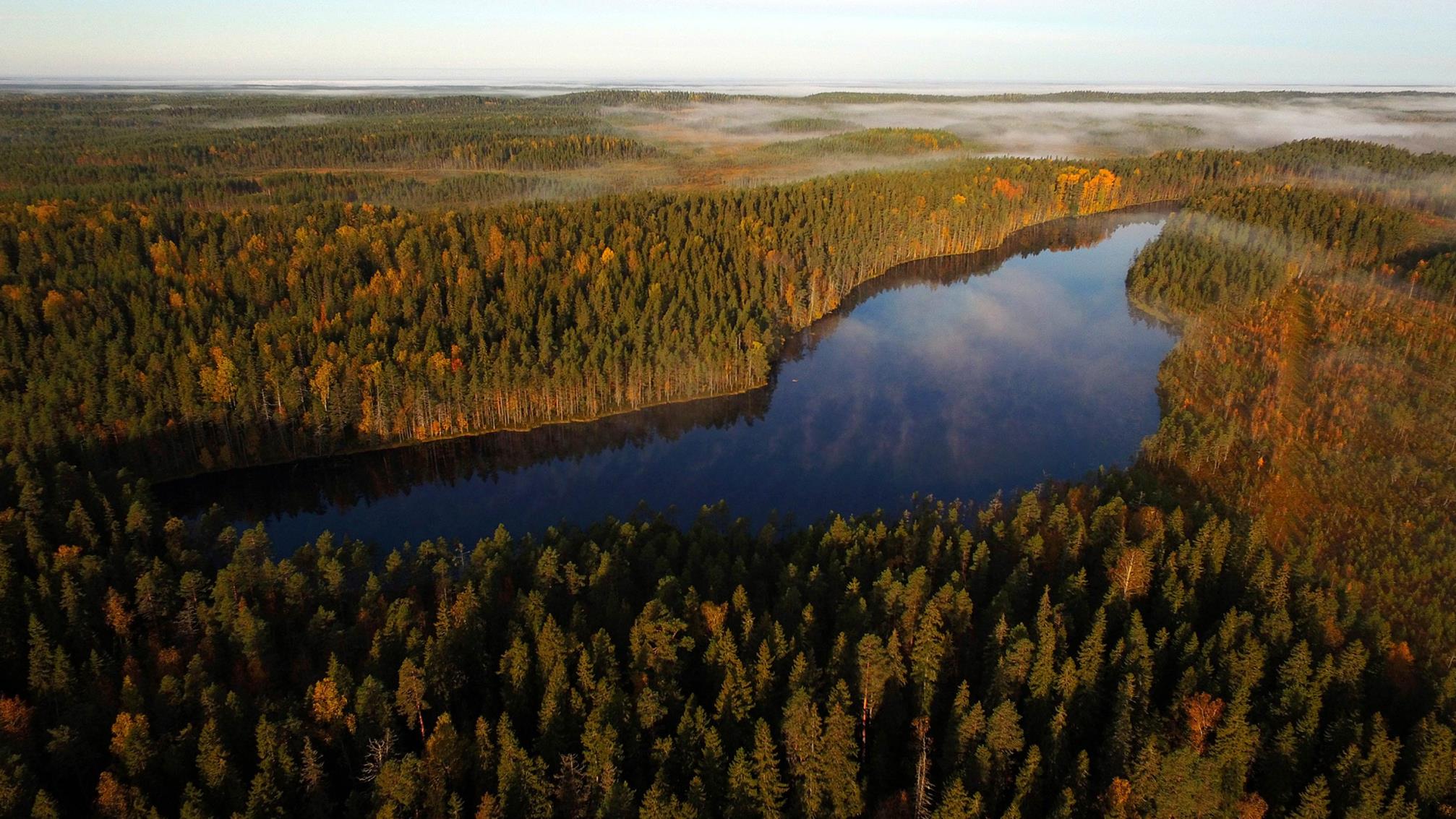 Valtion maat ja vedet Suomen biotaloudessa -