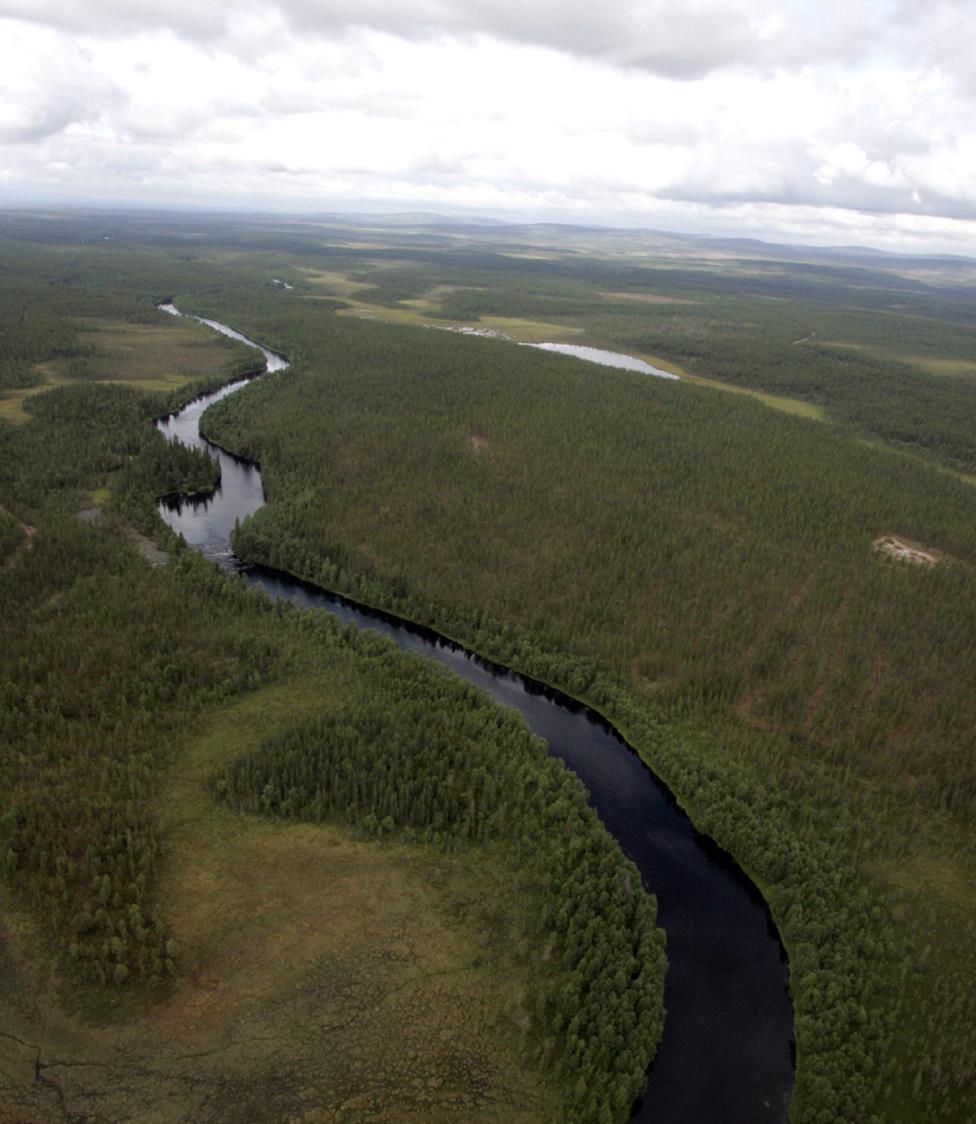 Edelläkävijä vihreillä markkinoilla Metsähallituksen hallinnassa on 1/3 Suomen maa- ja vesipinta-alasta.