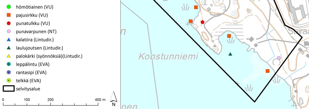 Kaulushaikara Botaurus stellaris ulkopuolella x Rantasipi Actitis hypoleucos 1-2 x Kalatiira Sterna hirundo ulkopuolella x x Palokärki Dryocopus martius ulkopuolella x Leppälintu Phoenicurus