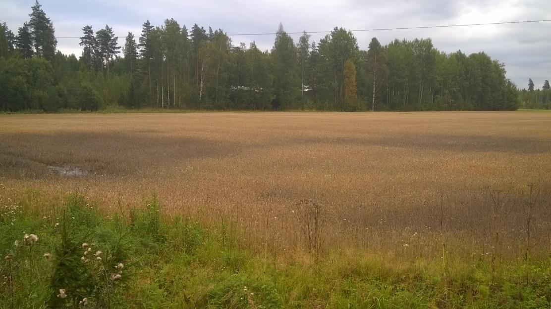 Olisiko nyt hyvä hetki kohentaa maan rakennetta ja laittaa