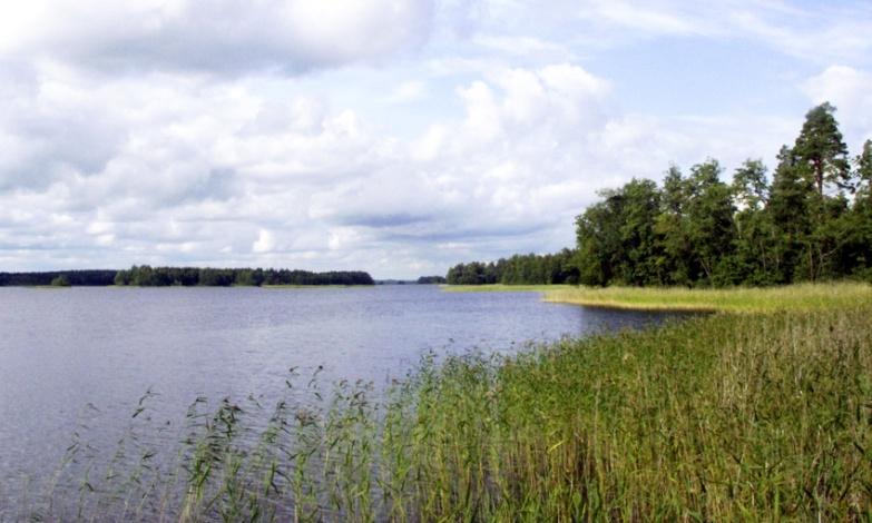 Varkaus, Tappuvirta Varkaus.