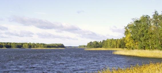 Maanmittauslaitos 2011 Nuolen osoittamana Petro-saari, Suuri Petrosaari oikealla;