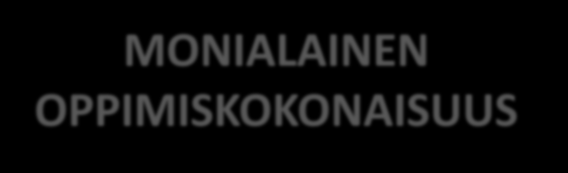 opintokäyntejä ja leirikouluja Suunnittelemalla pidempikestoisia oppimiskokonaisuuksia, joiden toteuttamiseen osallistuu useampia