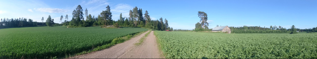 KESTÄVÄÄ RUOKAA JA KASVUA HÄMEESSÄ HÄMEEN MAA- JA