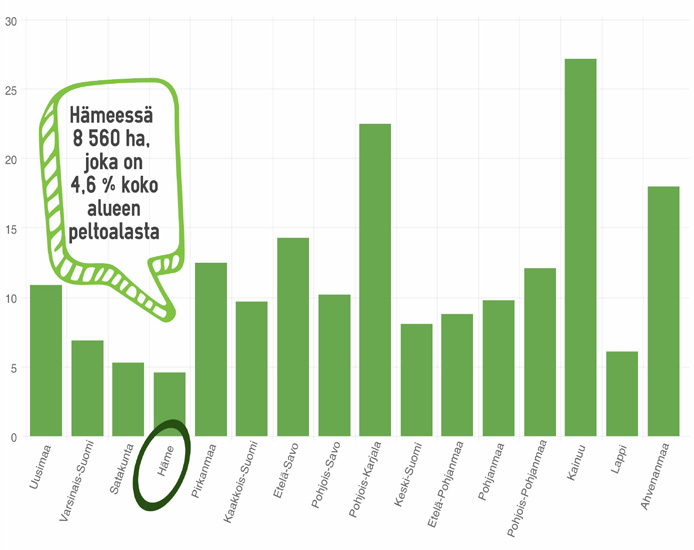 Ostajien lisäksi klusteriin kuuluu alueella toimivia leipomoita, panimoita ja kauppoja Suurten toimijoiden lisäksi Hämeessä toimii muutamia pienempiä paikallismyllyjä, jotka ovat tärkeitä