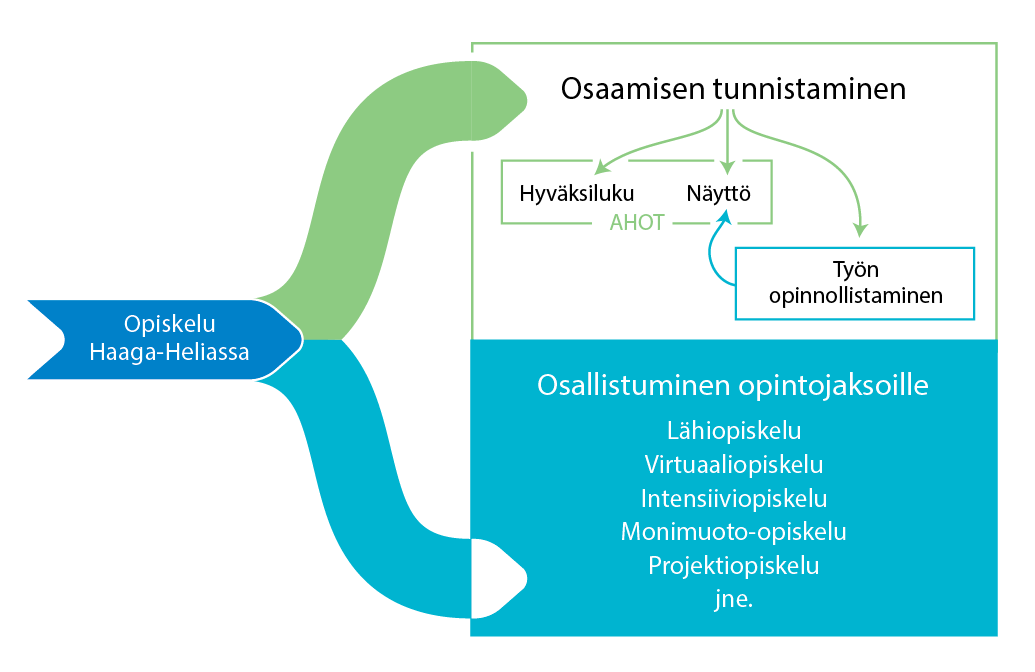 Osaamisen