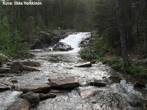 Joen määritelmä Joella tarkoitetaan virtaavan veden vesistöä.