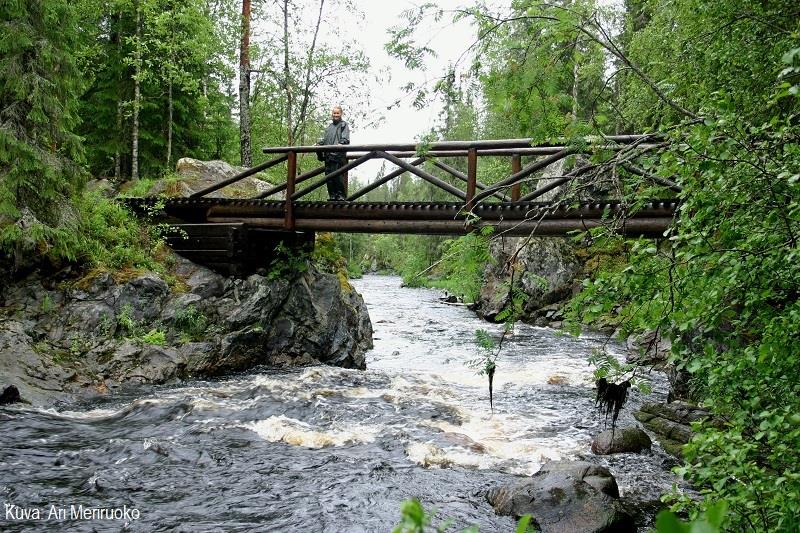 Luonnontilaiset joet ovat monimuotoisia Tyypillistä luonnontilaisille joille: koski- ja