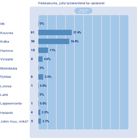 Taustatiedot Asuinpaikkakunta Kouvola 38 % Kotka 25 % Iitistä ja Miehikkälästä