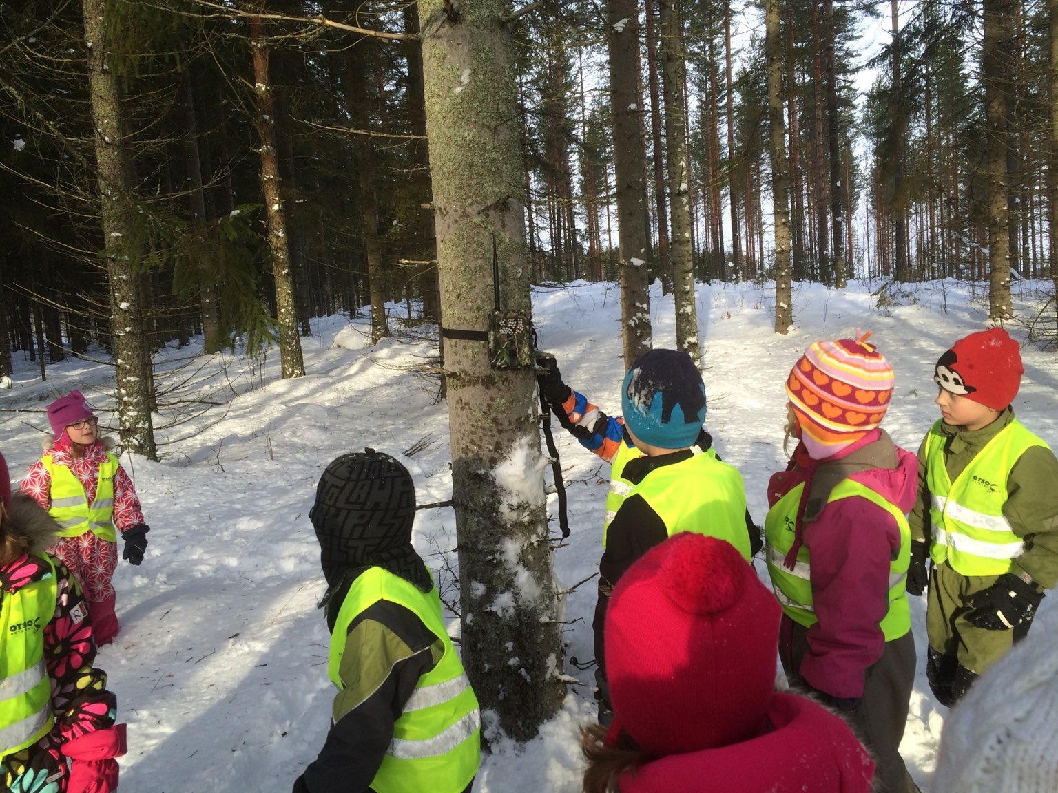 PROJEKTIN TAUSTAA - Vintiöt on esikouluryhmä, jossa on 20 lasta ja 4 aikuista - joulukuussa 2014 päiväkodin metsäretkellä näimme lumikon - lumikkoprojektin seurauksena lapset toivoivat metsään