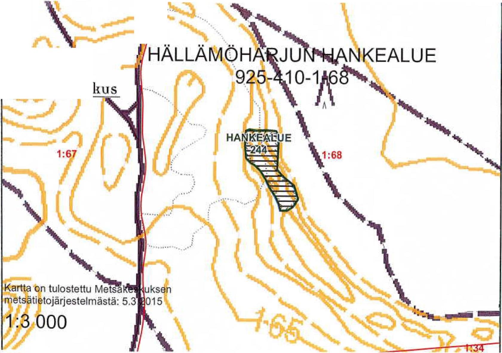 Alueen nykytila litä-seppä lä 1' :68 tilalla kunnostetaan hankkeessa kuvio 244, Joka sijaitsee Ristihaun pohjoisosassa harjun päällä ja avautuen länteen, sekä itään, osin jyrkällä