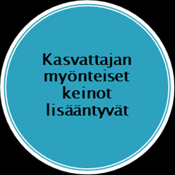 Positiivinen kehä Hyvä päivähoito,