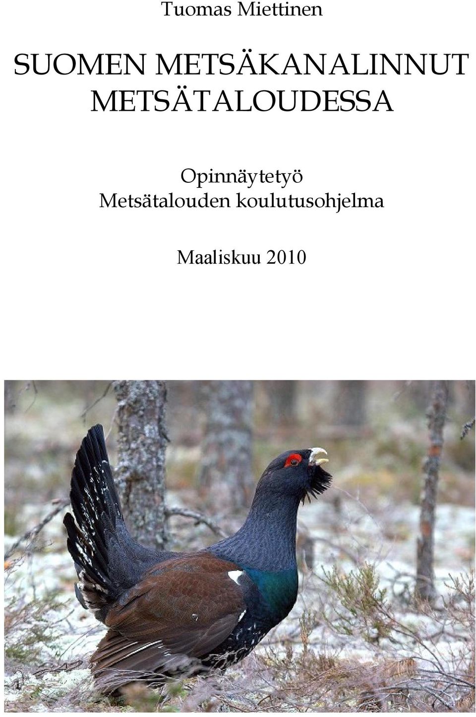 METSÄTALOUDESSA Opinnäytetyö