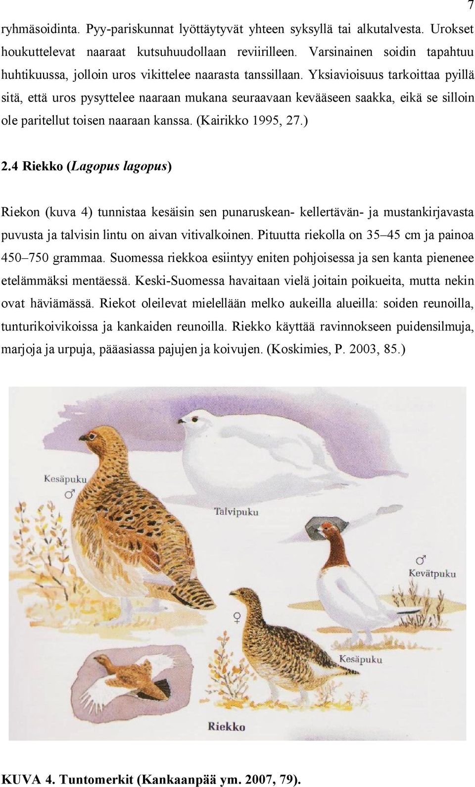 Yksiavioisuus tarkoittaa pyillä sitä, että uros pysyttelee naaraan mukana seuraavaan kevääseen saakka, eikä se silloin ole paritellut toisen naaraan kanssa. (Kairikko 1995, 27.) 2.