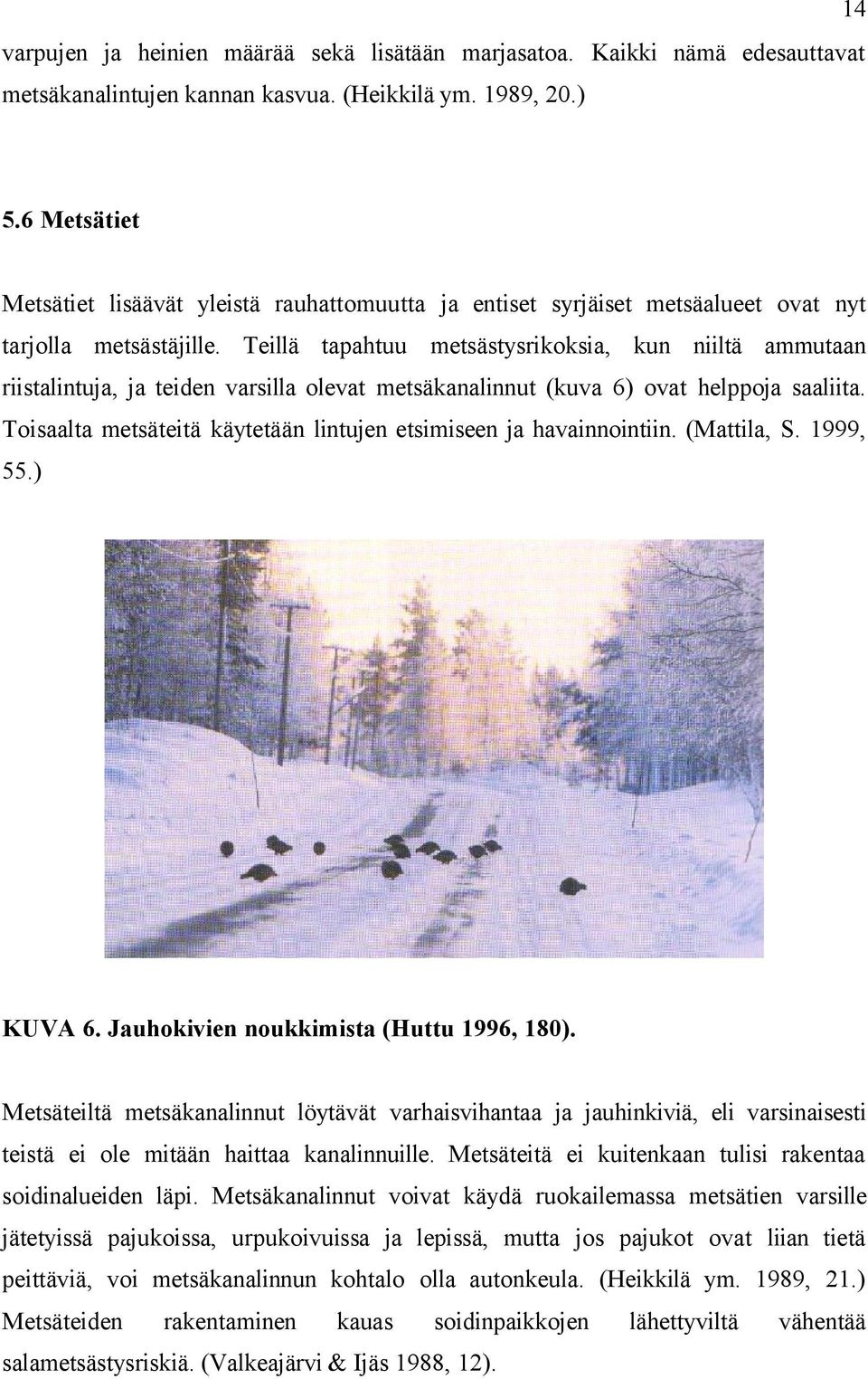 Teillä tapahtuu metsästysrikoksia, kun niiltä ammutaan riistalintuja, ja teiden varsilla olevat metsäkanalinnut (kuva 6) ovat helppoja saaliita.