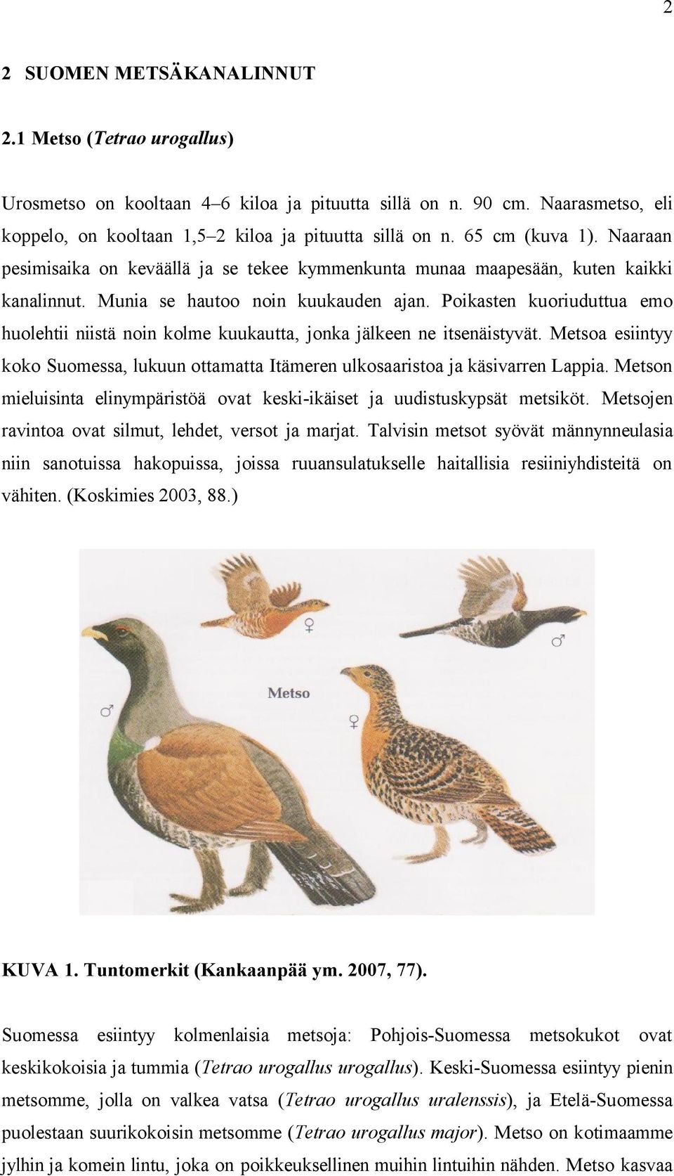 Poikasten kuoriuduttua emo huolehtii niistä noin kolme kuukautta, jonka jälkeen ne itsenäistyvät. Metsoa esiintyy koko Suomessa, lukuun ottamatta Itämeren ulkosaaristoa ja käsivarren Lappia.