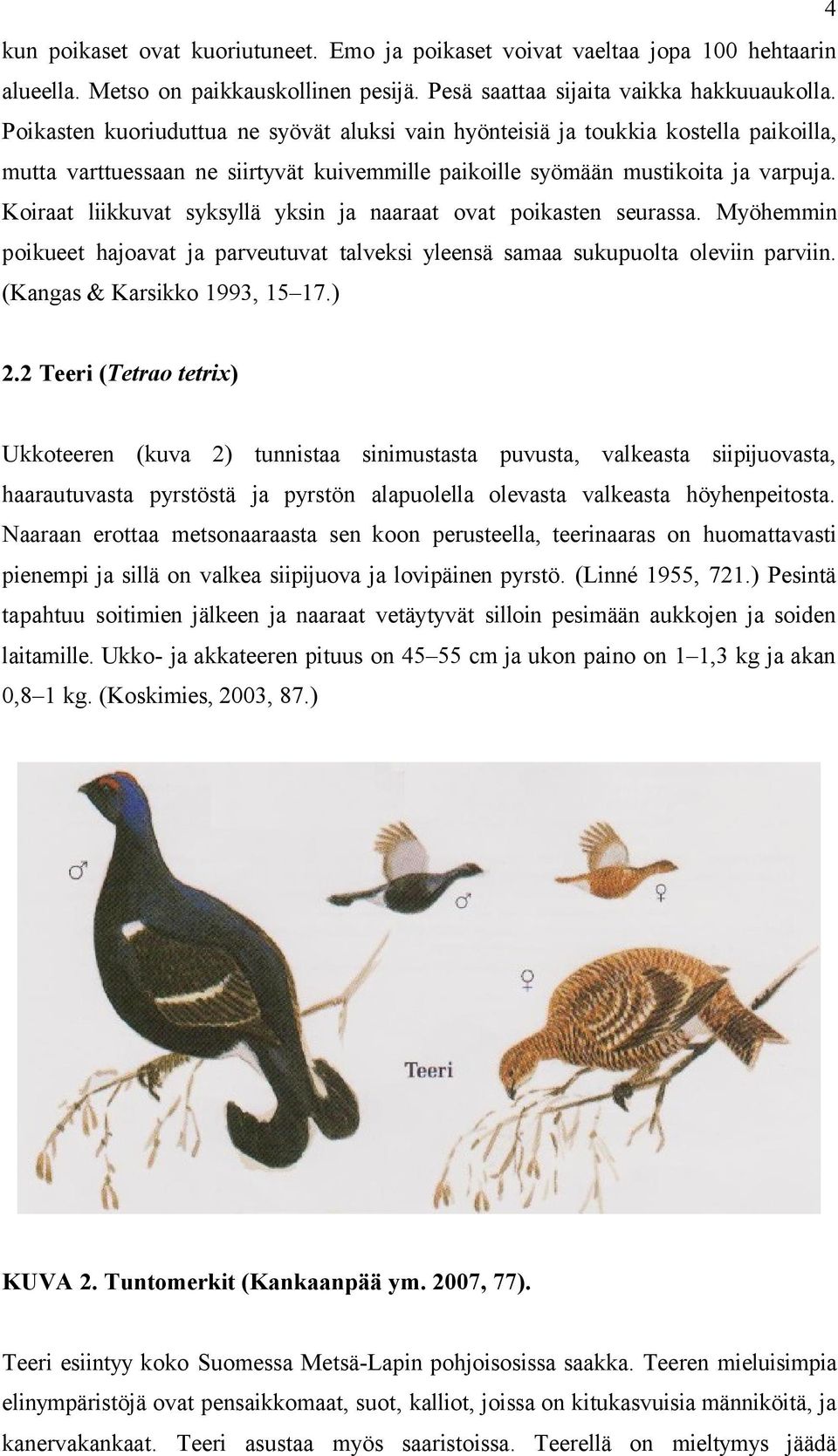 Koiraat liikkuvat syksyllä yksin ja naaraat ovat poikasten seurassa. Myöhemmin poikueet hajoavat ja parveutuvat talveksi yleensä samaa sukupuolta oleviin parviin. (Kangas & Karsikko 1993, 15 17.) 2.