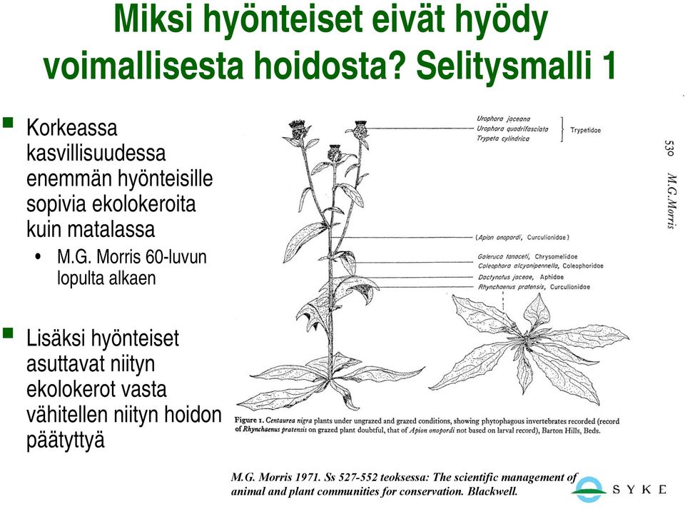 G. Morris 60-luvun lopulta alkaen Lisäksi hyönteiset asuttavat niityn ekolokerot vasta vähitellen