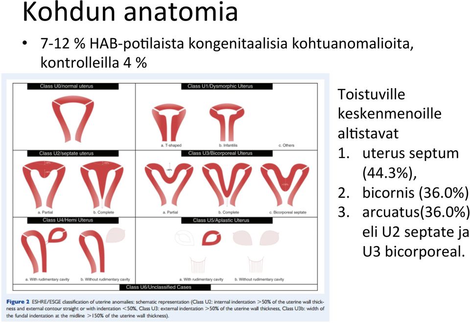 keskenmenoille al[stavat 1. uterus septum (44.3%), 2.