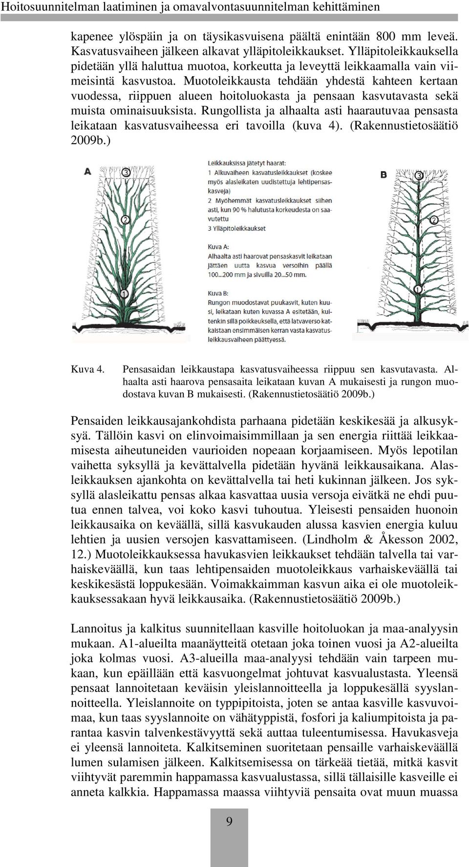 Muotoleikkausta tehdään yhdestä kahteen kertaan vuodessa, riippuen alueen hoitoluokasta ja pensaan kasvutavasta sekä muista ominaisuuksista.