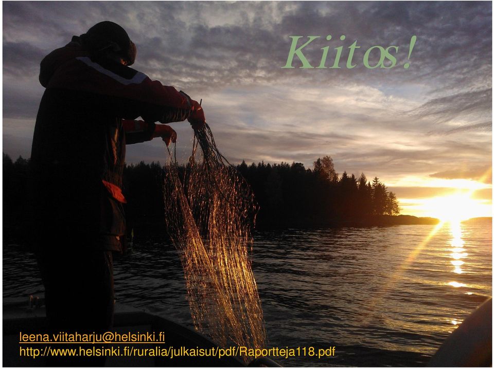fi http:///julkaisut/pdf/raportteja118.