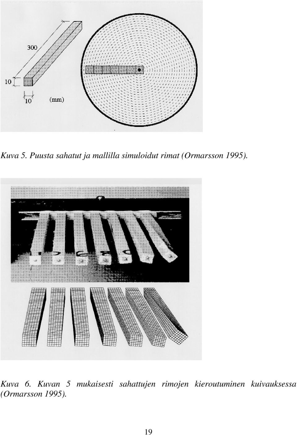 rimat (Ormarsson 1995). Kuva 6.