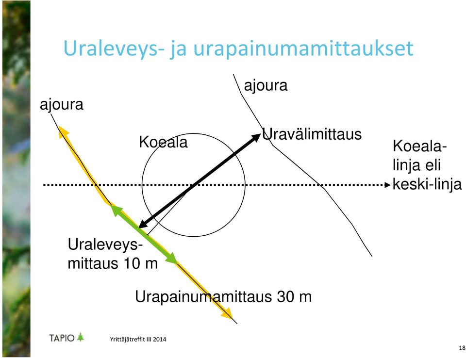 Koealalinja eli keski-linja
