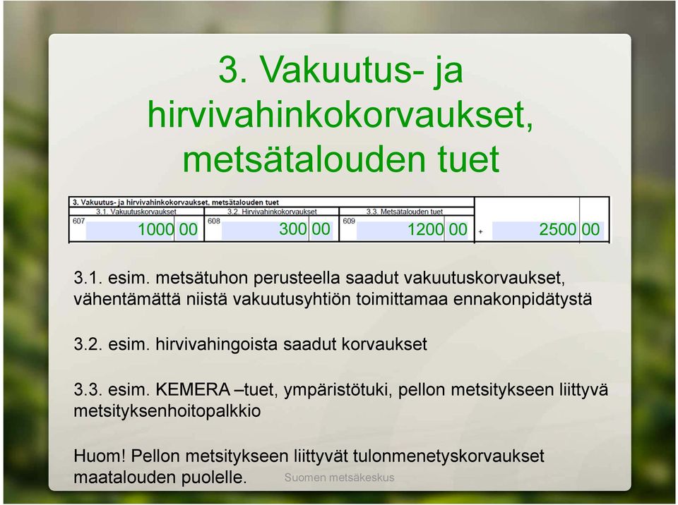 ennakonpidätystä 3.2. esim.