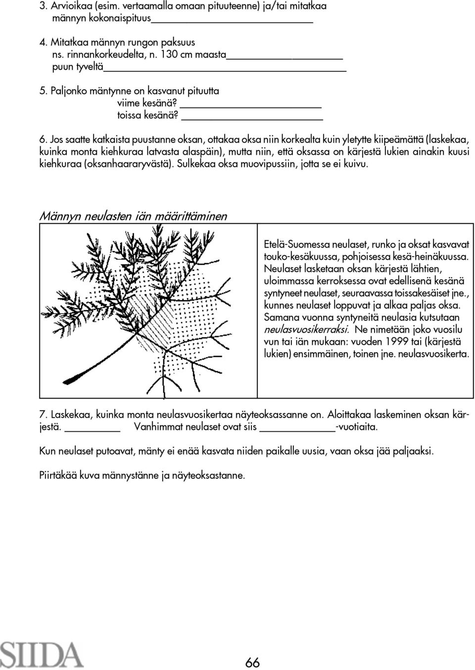 Jos saatte katkaista puustanne oksan, ottakaa oksa niin korkealta kuin yletytte kiipeämättä (laskekaa, kuinka monta kiehkuraa latvasta alaspäin), mutta niin, että oksassa on kärjestä lukien ainakin