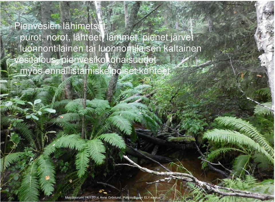 luonnontilaisen kaltainen vesitalous,