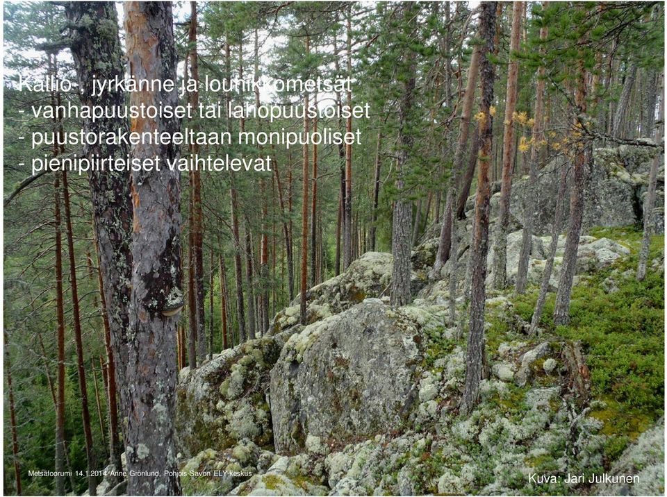 puustorakenteeltaan monipuoliset -