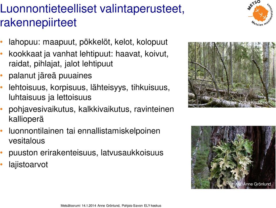 tihkuisuus, luhtaisuus ja lettoisuus pohjavesivaikutus, kalkkivaikutus, ravinteinen kallioperä luonnontilainen tai