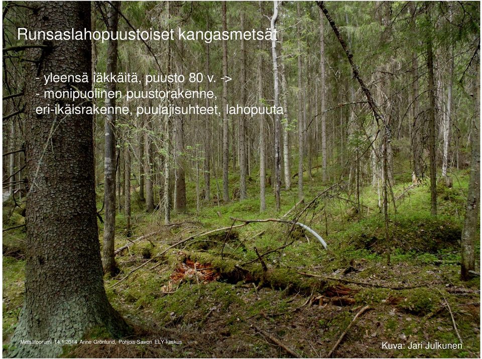 -> - monipuolinen puustorakenne,