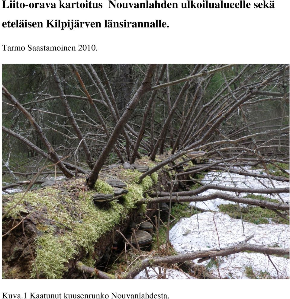 Kilpijärven länsirannalle.