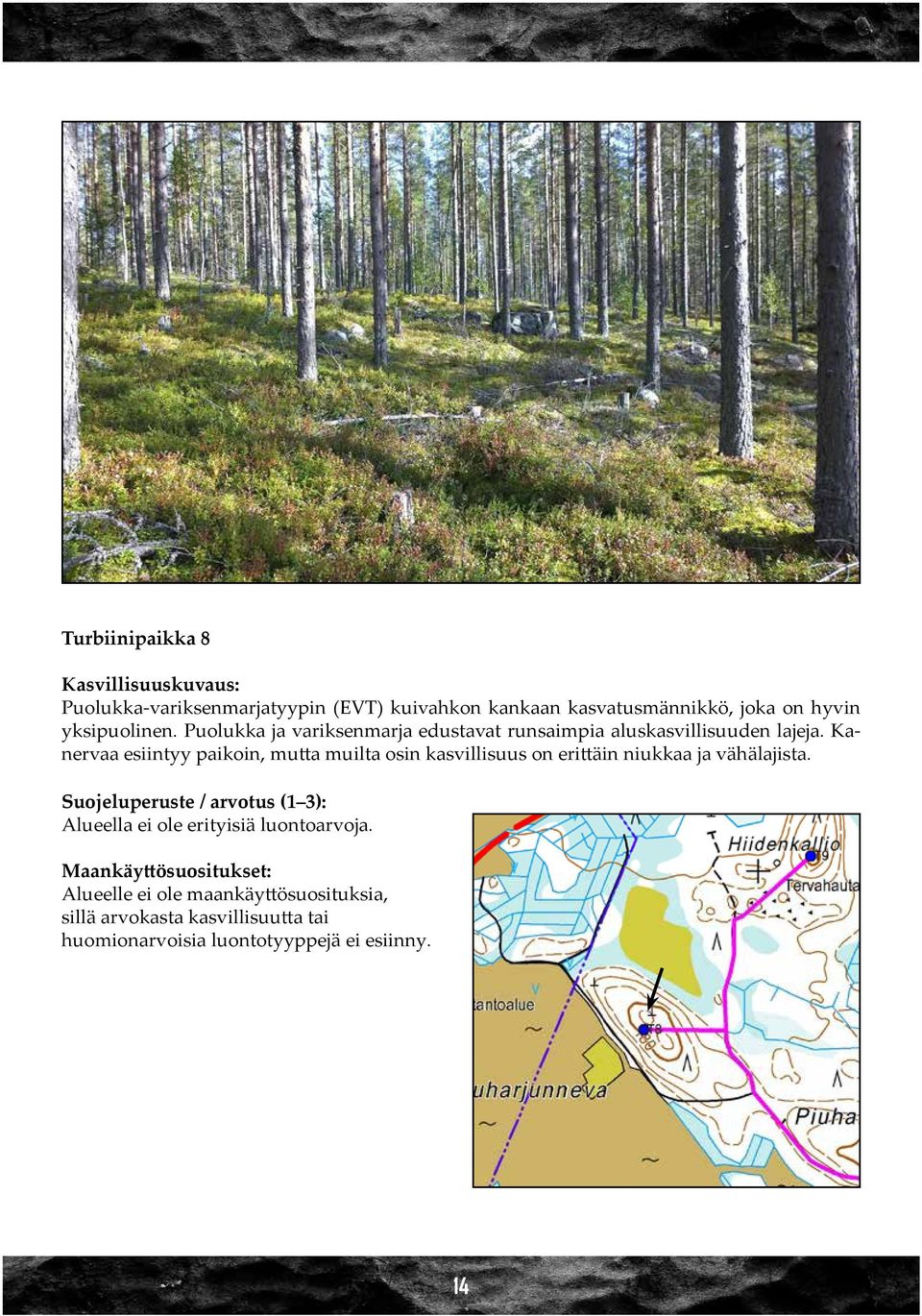 Kanervaa esiintyy paikoin, mutta muilta osin kasvillisuus on erittäin niukkaa ja vähälajista.